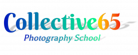 gallery/collective 65 charities logo shadow